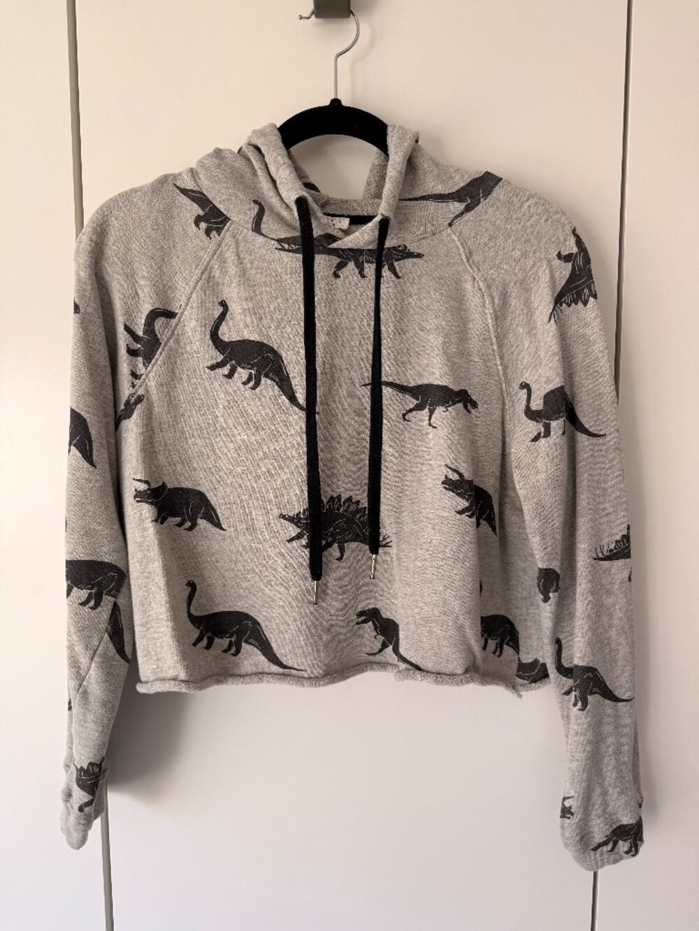 Messy Bun Just Chillin' Gray Cropped Hoodie Sweatshirt - All-Over Dinosaur Print